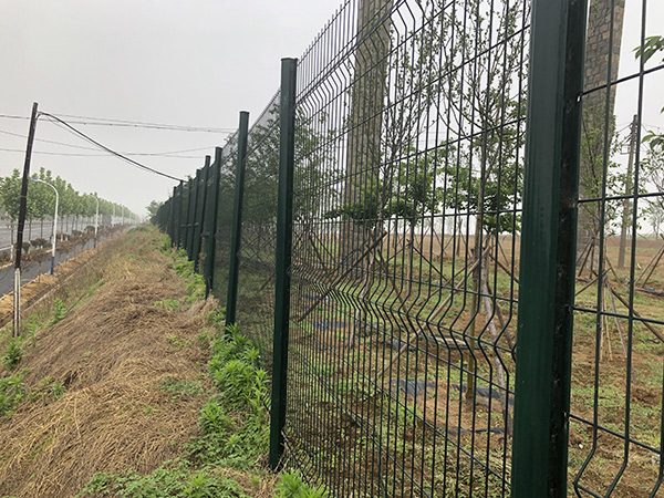 綠化帶護(hù)欄網(wǎng)圖片2 綠化帶護(hù)欄網(wǎng)圖片2