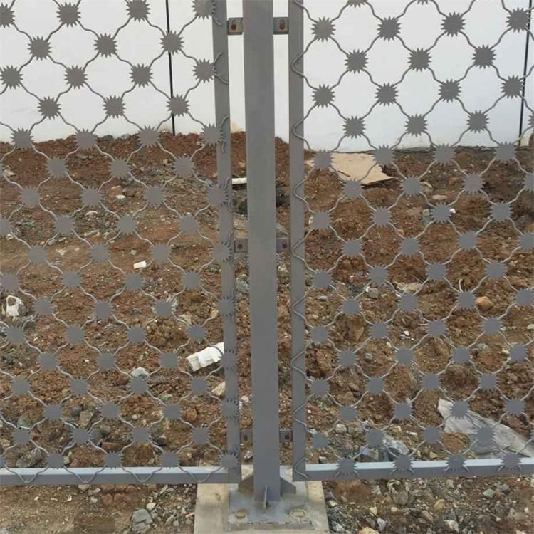 梅花刺防沖隔離網(wǎng)的規(guī)格及安裝案例展示圖片3 梅花刺防沖隔離網(wǎng)的規(guī)格及安裝案例展示圖片3