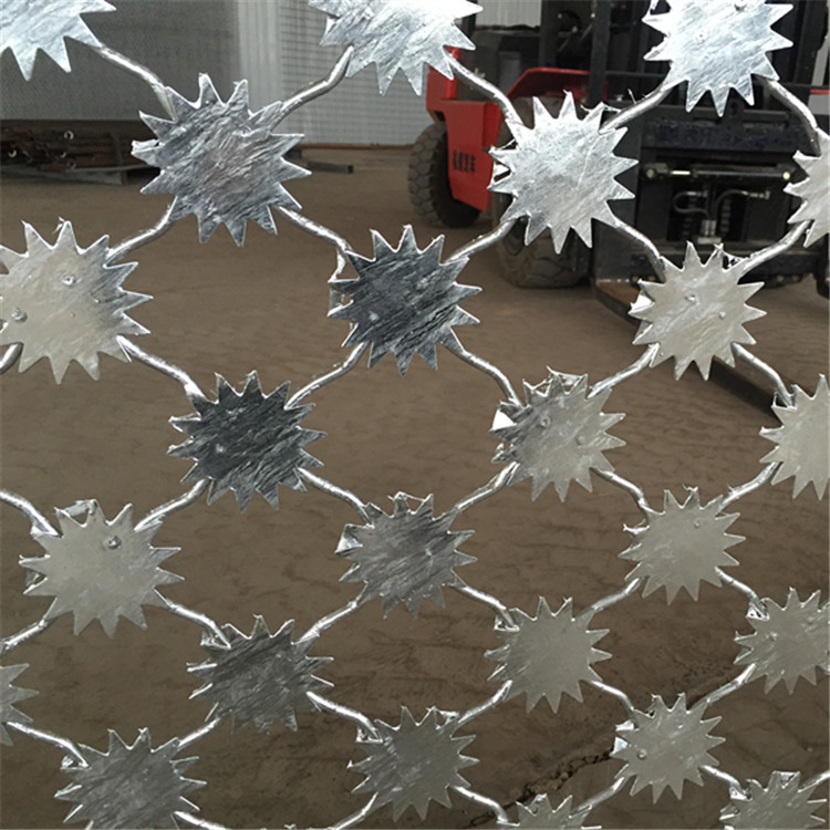 梅花刺隔離網案例展示圖片4 梅花刺隔離網案例展示圖片4