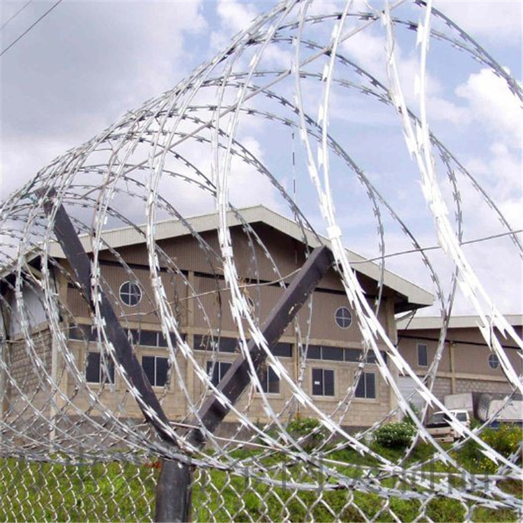 刀刺網(wǎng)案例展示圖片2 刀刺網(wǎng)案例展示圖片2